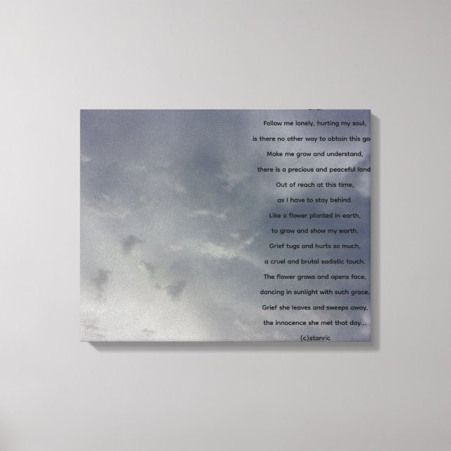 TOILE CANVAS (Recto)