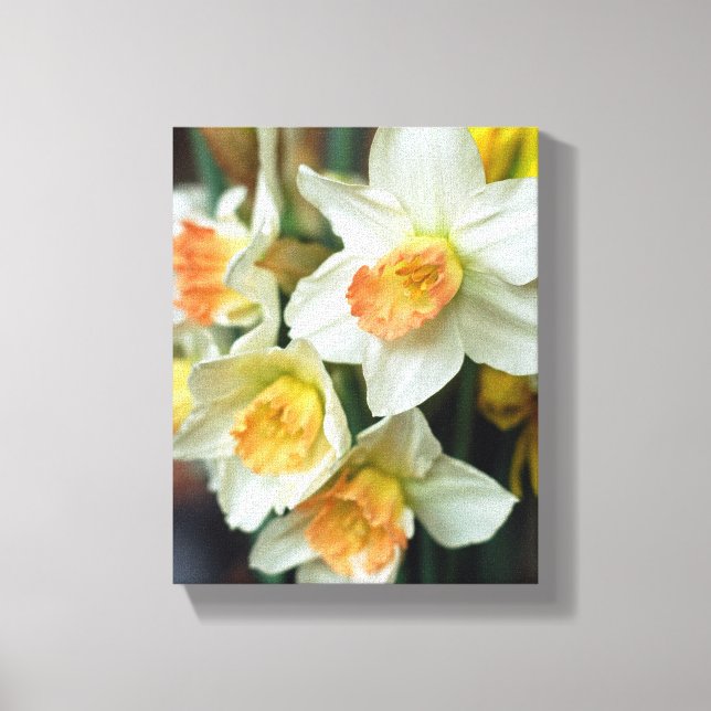 Toile Canvas Art-Daffodils (Recto)