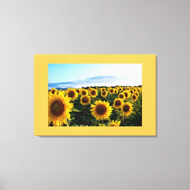 Toile Canvas Art-Tournesols (Recto)