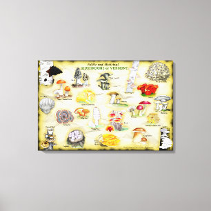 Toile Canvas de noms communs 30x20 Champignons du Vermon