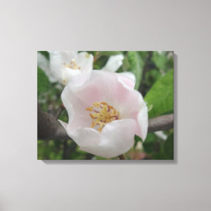 Toile Canvas de pureté