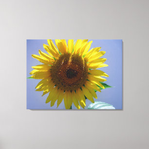 Toile Canvas de tournesol