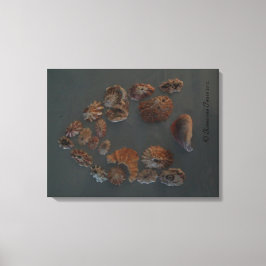 Toile Canvas (SeaShell House) RFPMDesigns ©️ 2012