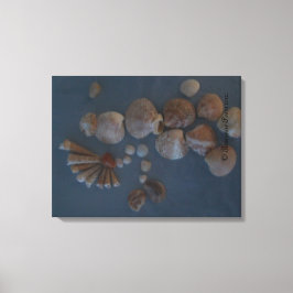 Toile Canvas (SeaShell Lady) RFPMDesigns ©️ 2012