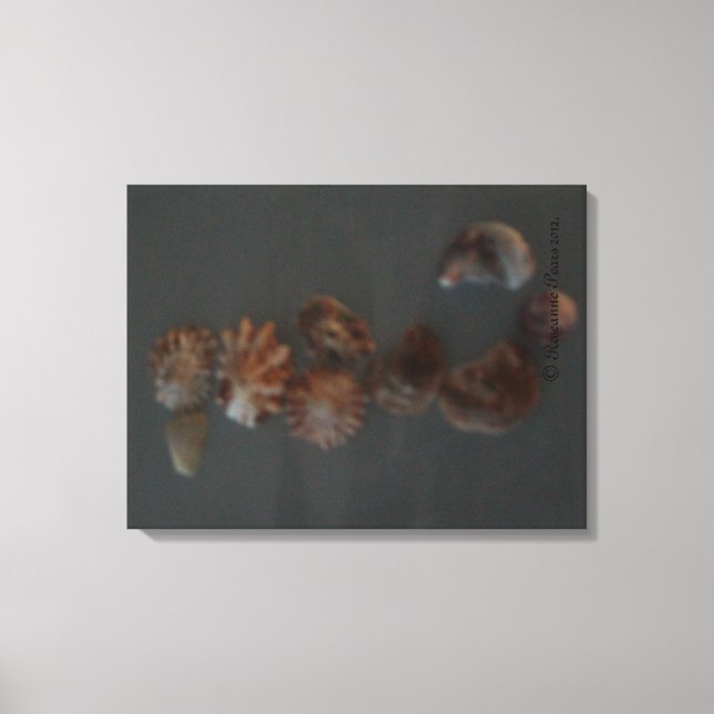 Toile Canvas (SeaShell SeaHorse) RFPMDesigns ©️ 2012 (Recto)