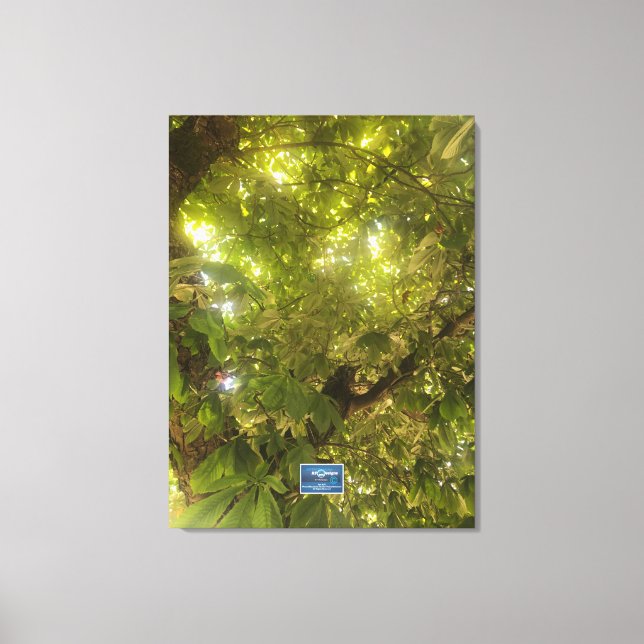 Toile Canvas (Sun Green Tree 1) RFPMDesigns ©️ 2021/24 (Recto)