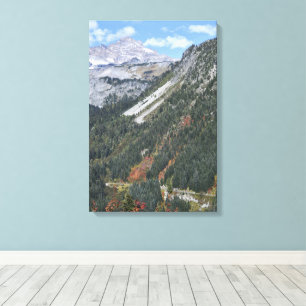 Toile Canyon panoramique du Mont Rainier National Park