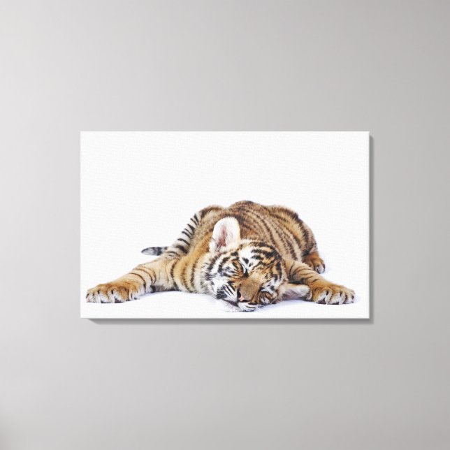 Toile Captif, Afrique du Sud 2 (Recto)