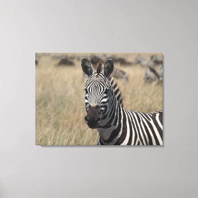 Toile Capture de bouchon (Recto)