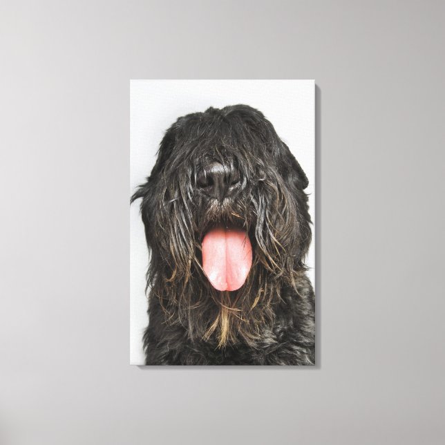 Toile Capture de studio (Recto)