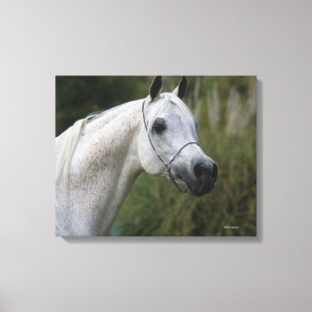 Toile Capture d'écran du cheval arabe 1 (Recto)