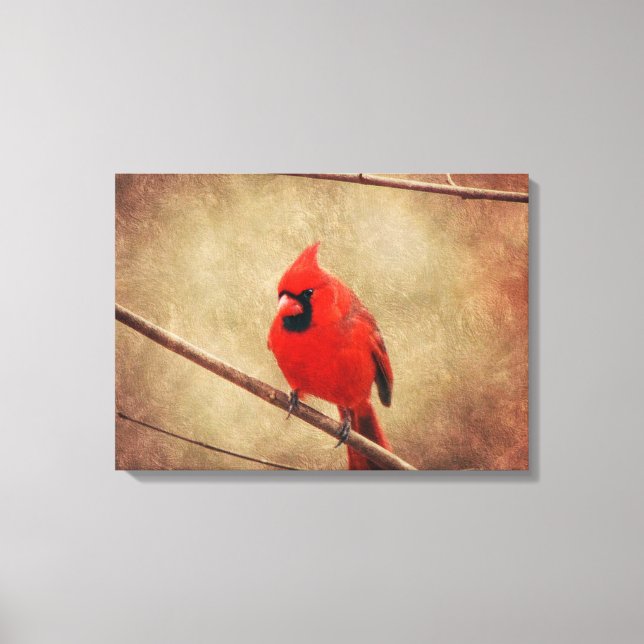 Toile Cardinal (Recto)