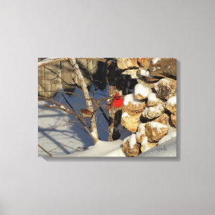 Toile Cardinal dans la neige