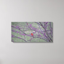 Cardinal rouge dans l'arbre rouge de l'est