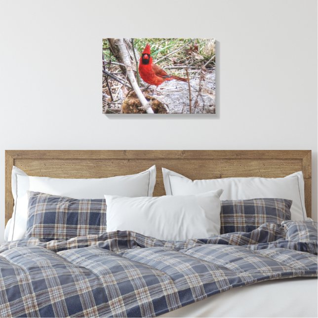 Toile Cardinal vibrant (Insitu(Chambre))