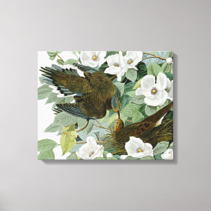 Toile Carolina Pigeon Audubon Morning Dove