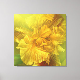 Toile carrée intérieure de beauté d'iris (jaune