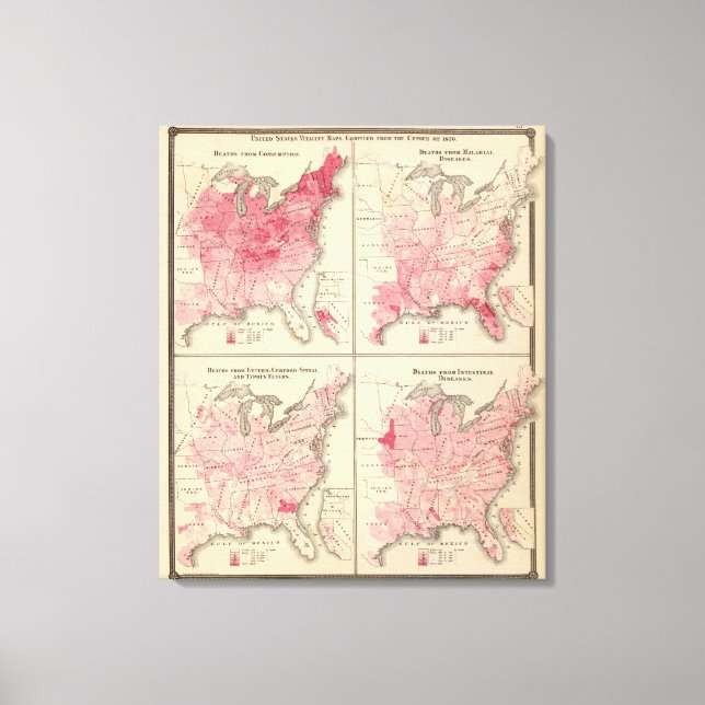 Toile Cartes de vitalité des États-Unis (Recto)