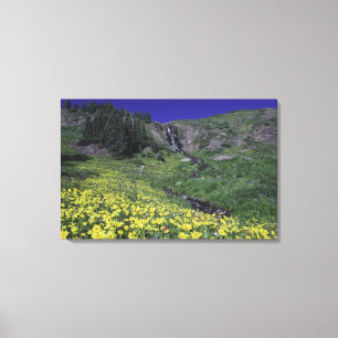 Toile Cascade et fleurs sauvages dans un pré alpin, 2