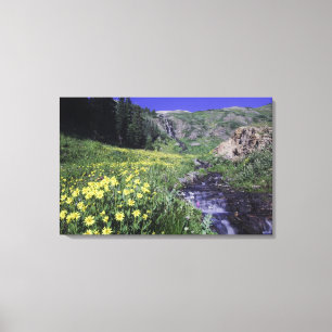 Toile Cascade et fleurs sauvages dans une prairie alpine