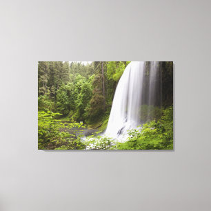 Toile Cascade floue et vue sur la forêt en Oregon