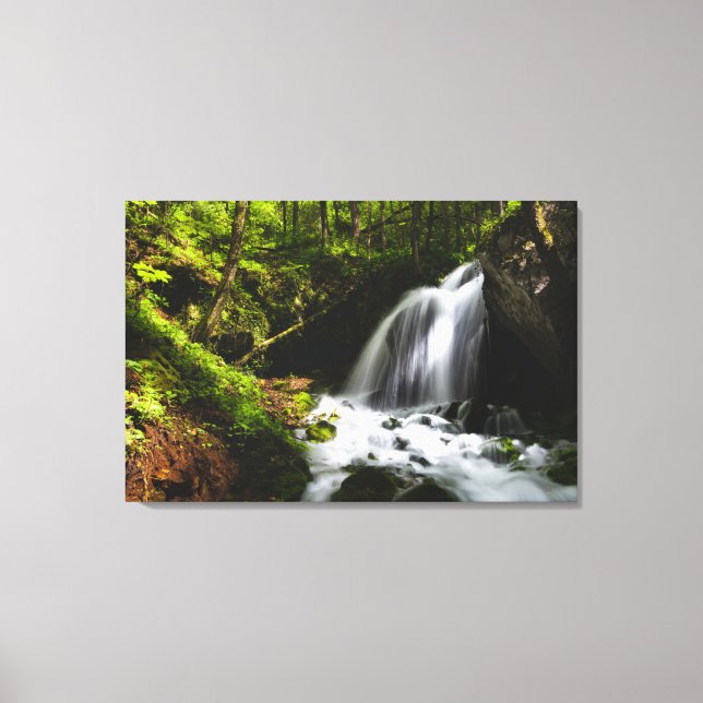 Toile Cascade magique dans une forêt verdoyante enchante (Recto)