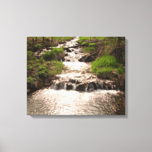 Toile Cascade Nature Woods Phototoile Imprimer MN