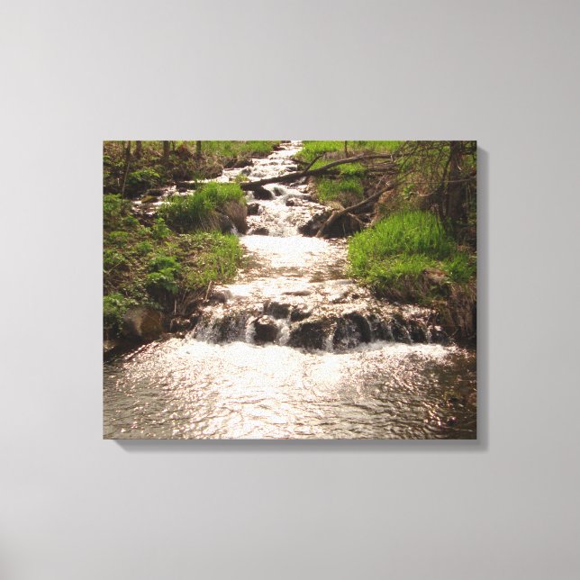 Toile Cascade Nature Woods Phototoile Imprimer MN (Recto)