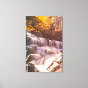 Toile Cascades en forêt