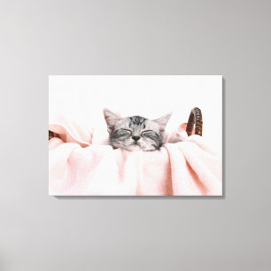 Toile Cat américain shorthair