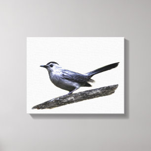 Toile Catbird