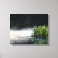 Cattails Dans Le Mist Sur Un Étang Orton