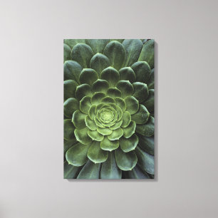 Toile Centre de cactus