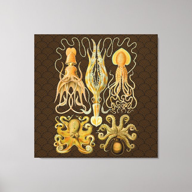 Toile Cephalopod poulpe calmar Nature marine (Recto)