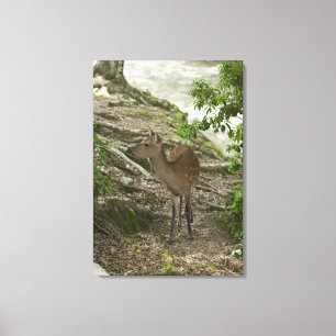 Toile Cerf 2