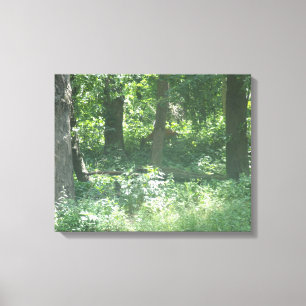 Toile Cerf blanc