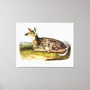 Toile Cerf d'Amérique (à queue blanche), fawn, Audubon