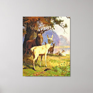 Toile Cerf Rouge Et Blanc Près D'Un Étang De Forêt
