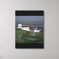 Cessna 170, 1948, Classic Aviation