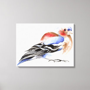 Toile Chaffinch coloré 2011