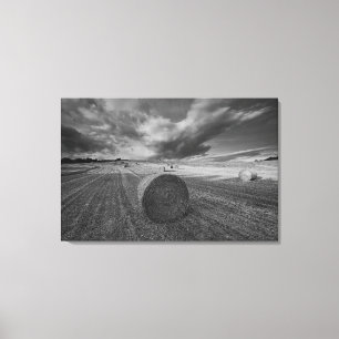 Toile Champ 2 d'orge de B&W