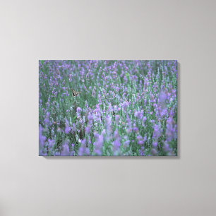 Toile Champ Lavender