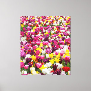 Toile champ plein de tulipes