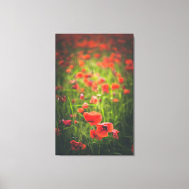 Toile Champ Poppies