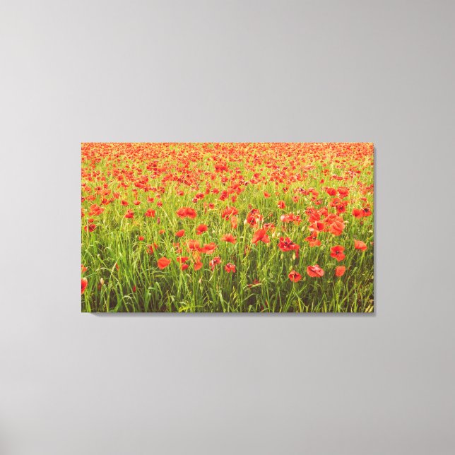 Toile Champ Poppies (Recto)