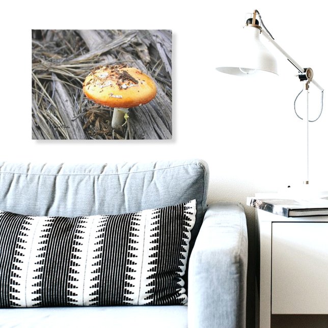 Toile Champignons colorés traversant la jupe (mushroom photograph canvas print)