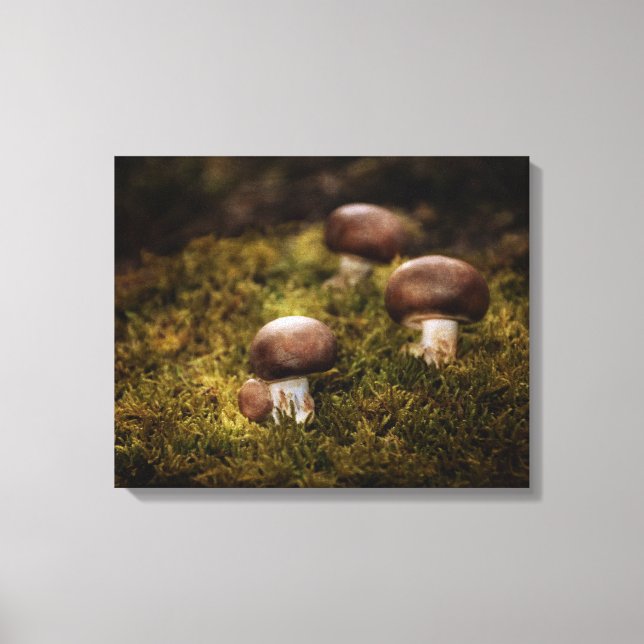 Toile Champignons dans la forêt (Recto)