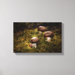 Toile Champignons dans la forêt