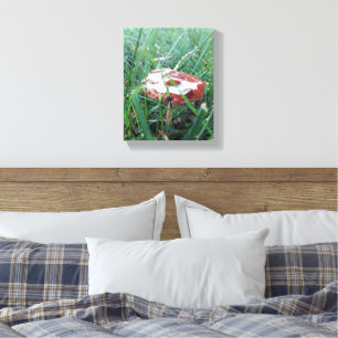 Toile Champignons orange avec pluie sur le dessus