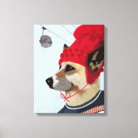 Chandail de chien en ski